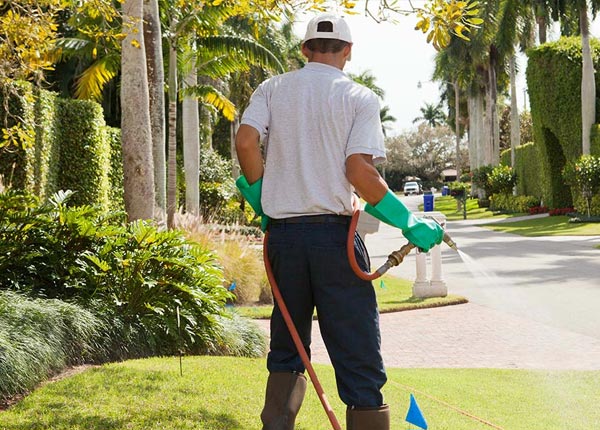 About Homewood CA Pest Control